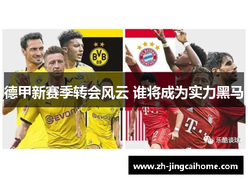 德甲新赛季转会风云 谁将成为实力黑马